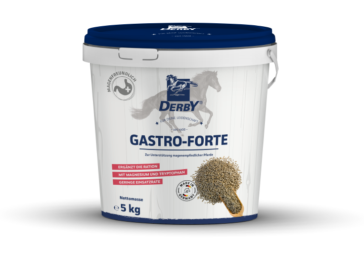 DERBY Gastro-Forte 